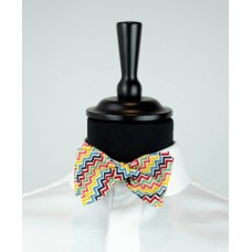 Multicolor Bow Tie