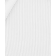 White Cotton Dobby Structure