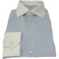 Blue Stripe Cotton Shirt - white collar and cuffs